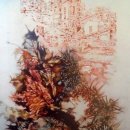 SPACCATURA:NORD / SUD 2009